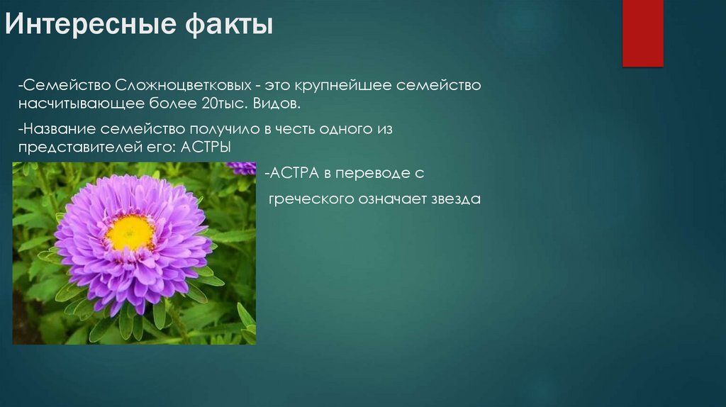 Photo of Интересные факты о осушителях воздуха